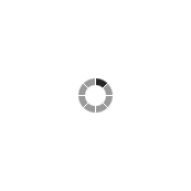 Loader icon